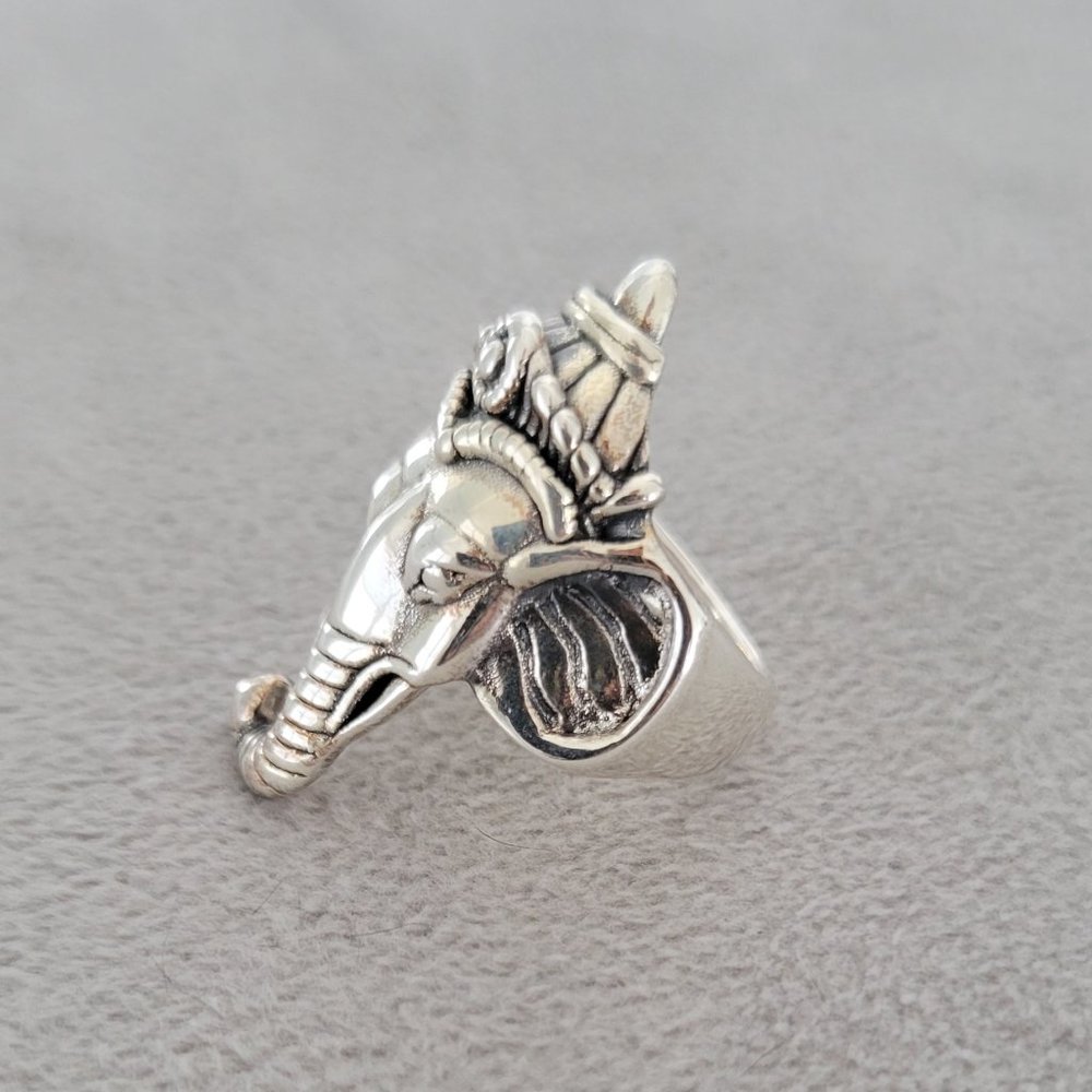 925 Sterling Silver Ring